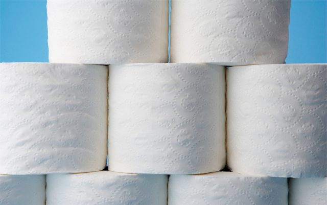 Hemp Toilet Paper | History of Hemp Toilet Paper